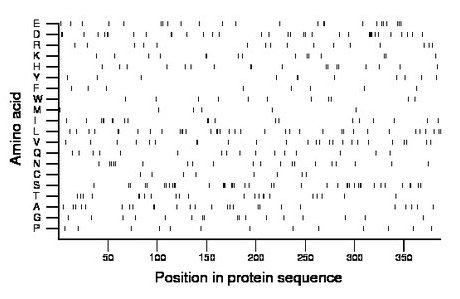 amino acid map