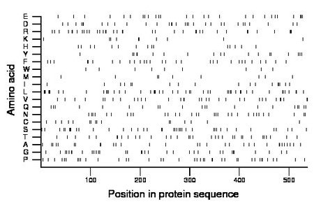 amino acid map