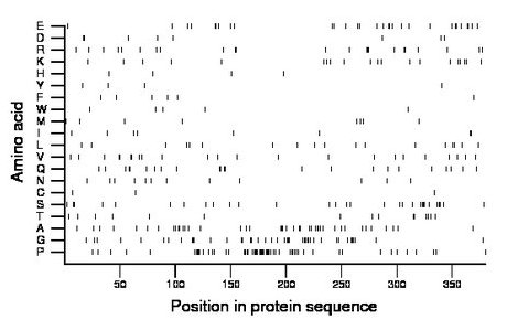 amino acid map