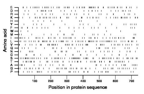 amino acid map