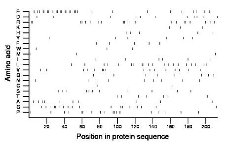 amino acid map