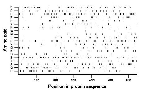 amino acid map