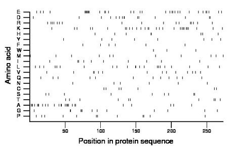 amino acid map