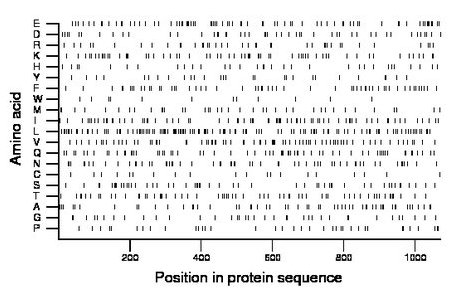 amino acid map