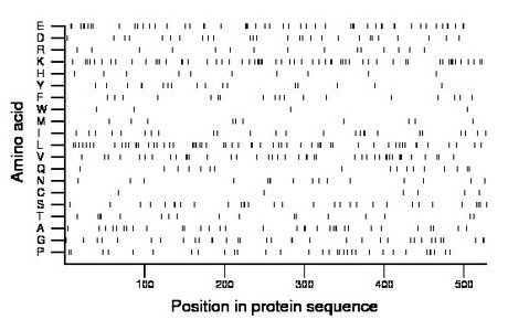 amino acid map