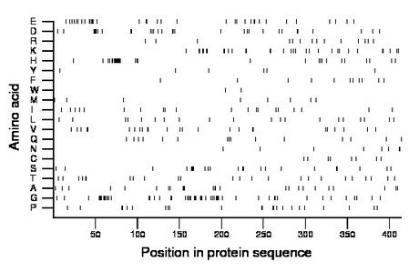 amino acid map