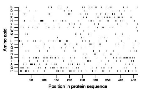 amino acid map