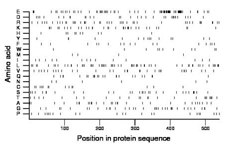 amino acid map