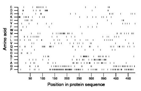 amino acid map