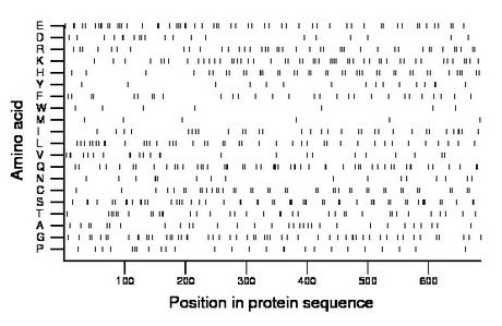 amino acid map