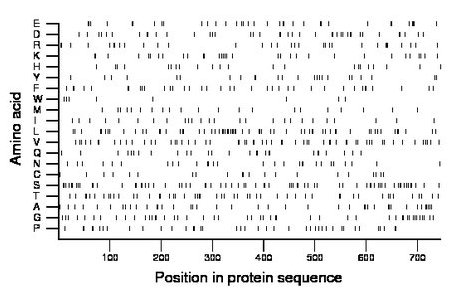 amino acid map