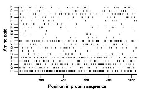 amino acid map