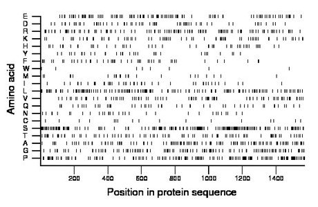 amino acid map