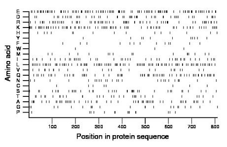 amino acid map