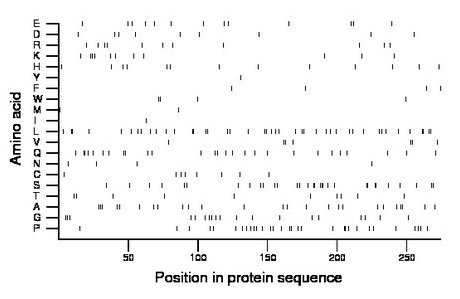 amino acid map