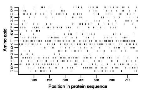 amino acid map