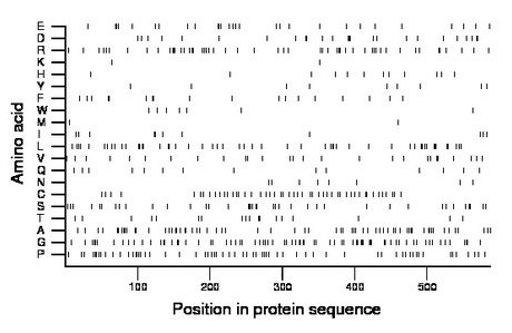 amino acid map