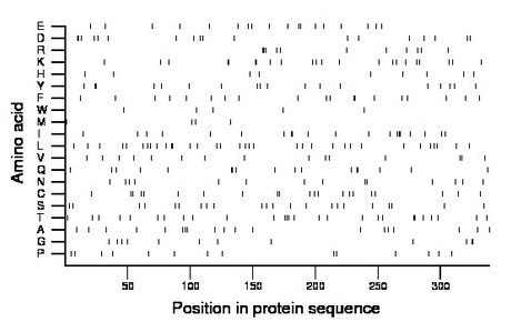 amino acid map