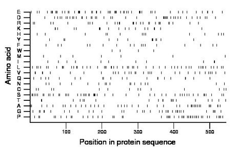 amino acid map