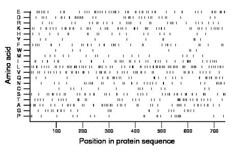 amino acid map