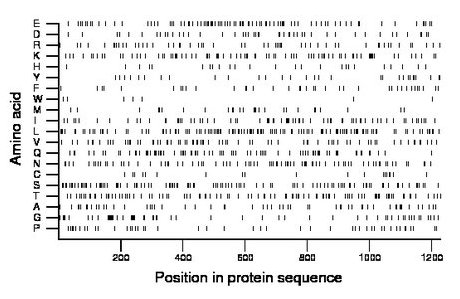 amino acid map