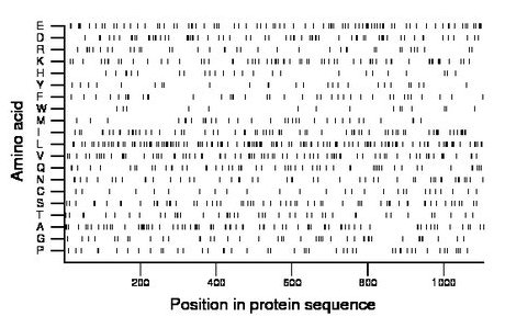 amino acid map