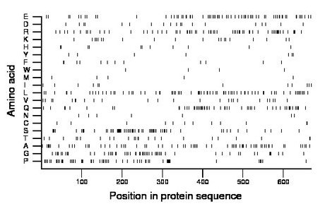 amino acid map