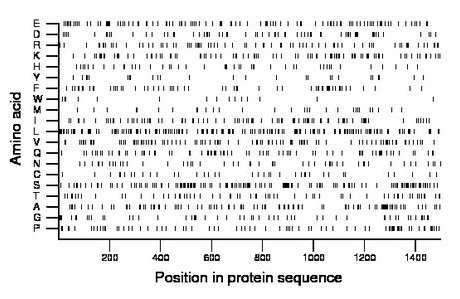 amino acid map