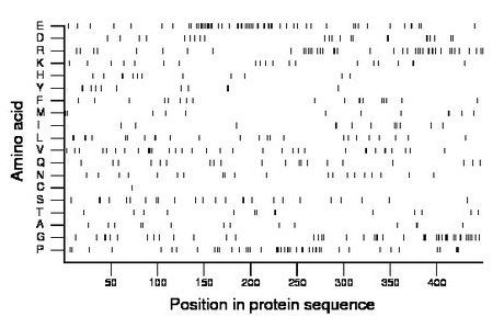 amino acid map