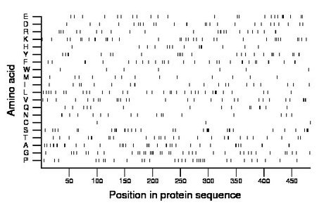 amino acid map