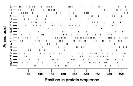 amino acid map