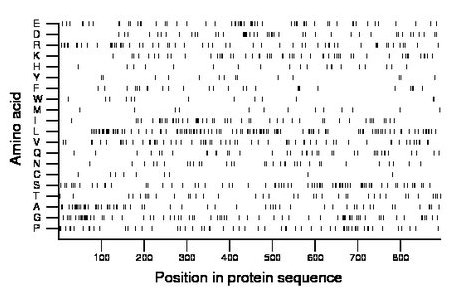 amino acid map