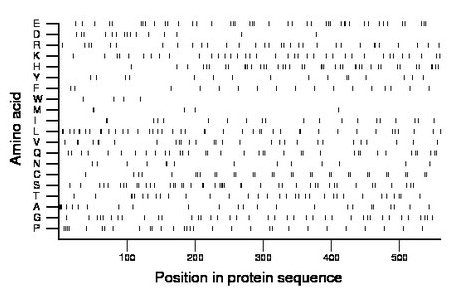 amino acid map