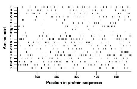 amino acid map