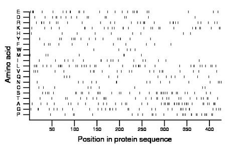 amino acid map