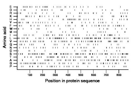 amino acid map