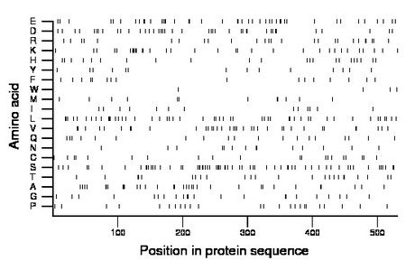 amino acid map