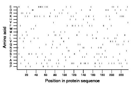 amino acid map