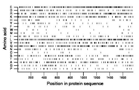 amino acid map