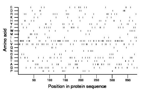 amino acid map