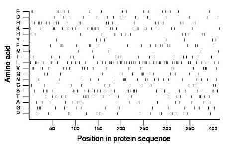 amino acid map