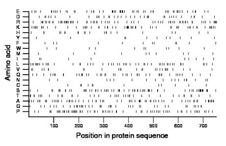 amino acid map