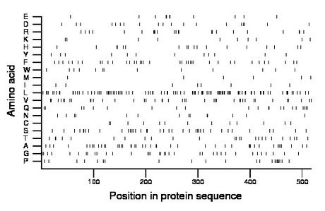 amino acid map