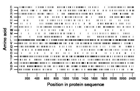 amino acid map