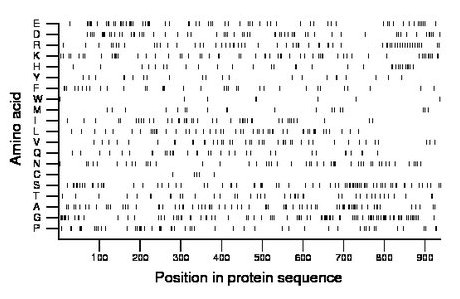 amino acid map