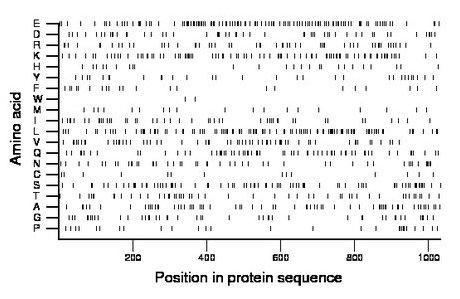 amino acid map