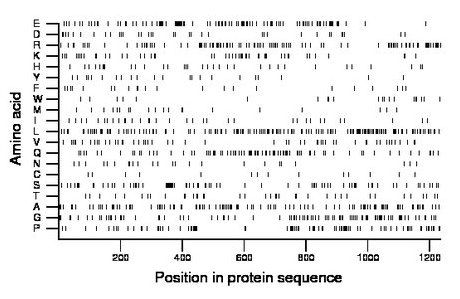 amino acid map