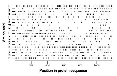 amino acid map