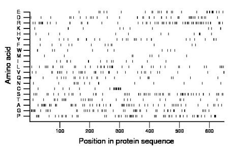 amino acid map