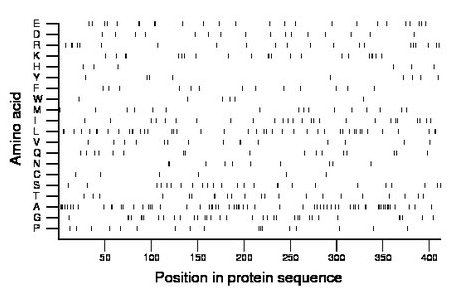 amino acid map